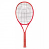 Radical Team L (260g) - Head